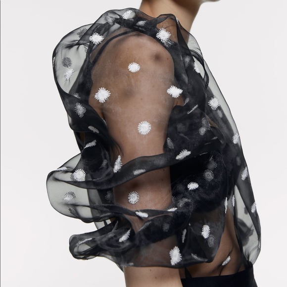 ZARA Embroidered Organza Top - Picture 5 of 7